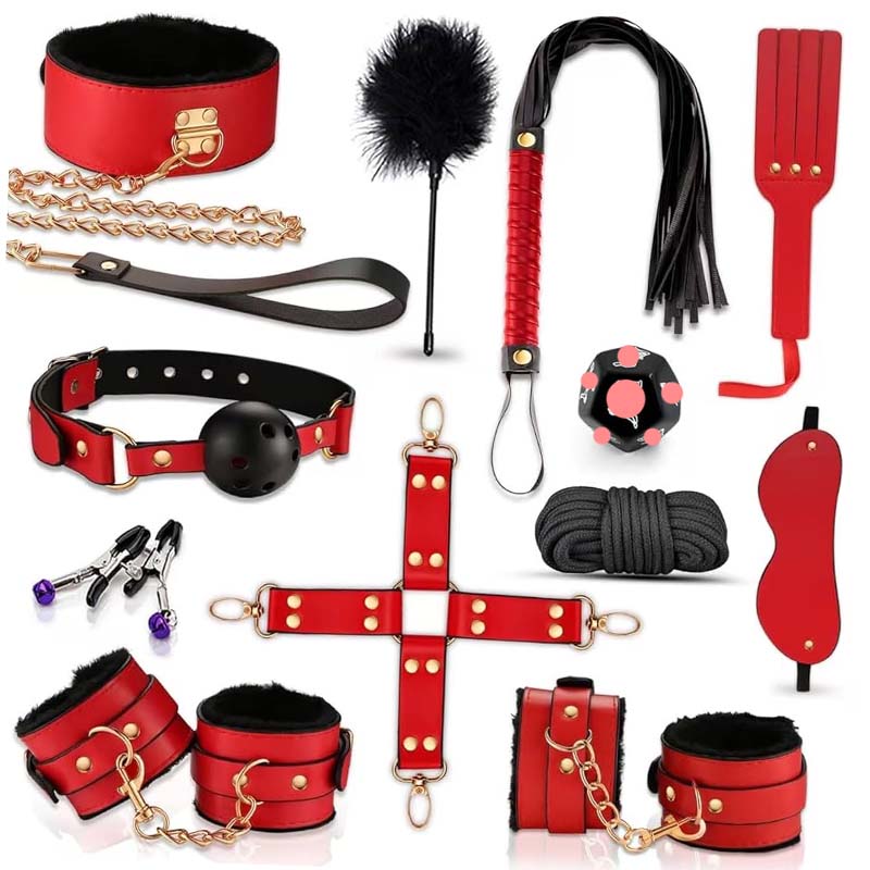 Health Wellness Training - 12-Piece Couples BDSM Bondage Kit for