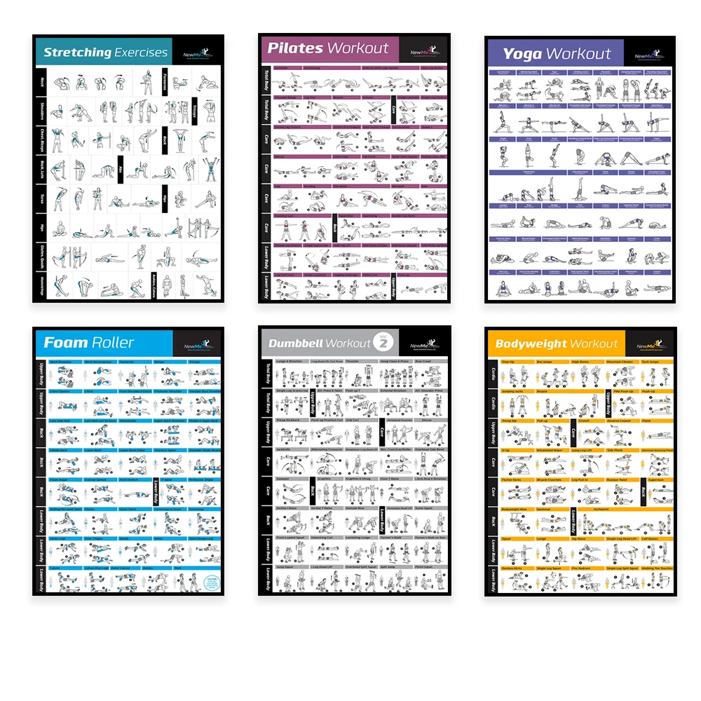 Body Exercise Training Chart W - Health Wellness Fitness 评论和价格