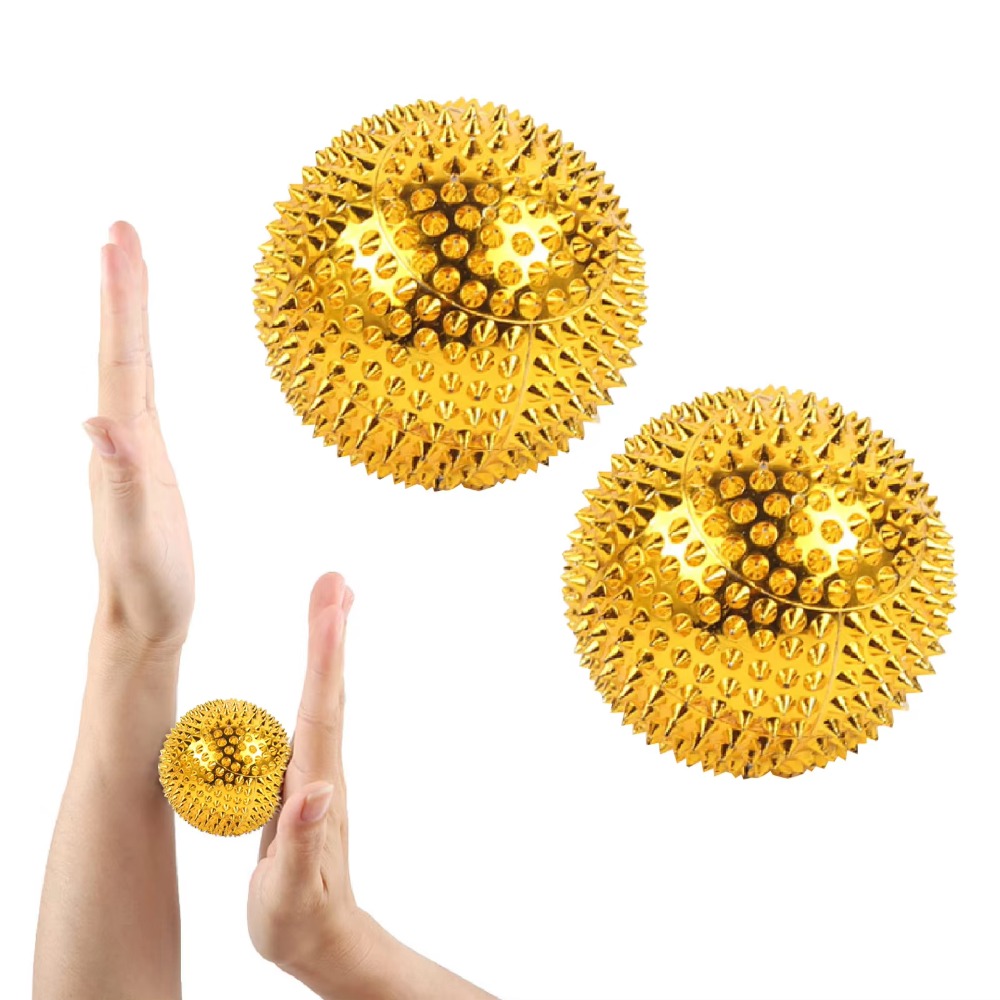 1Pair Yoga Fitness Ball Magnet - Health Wellness Fitness 评论和价格
