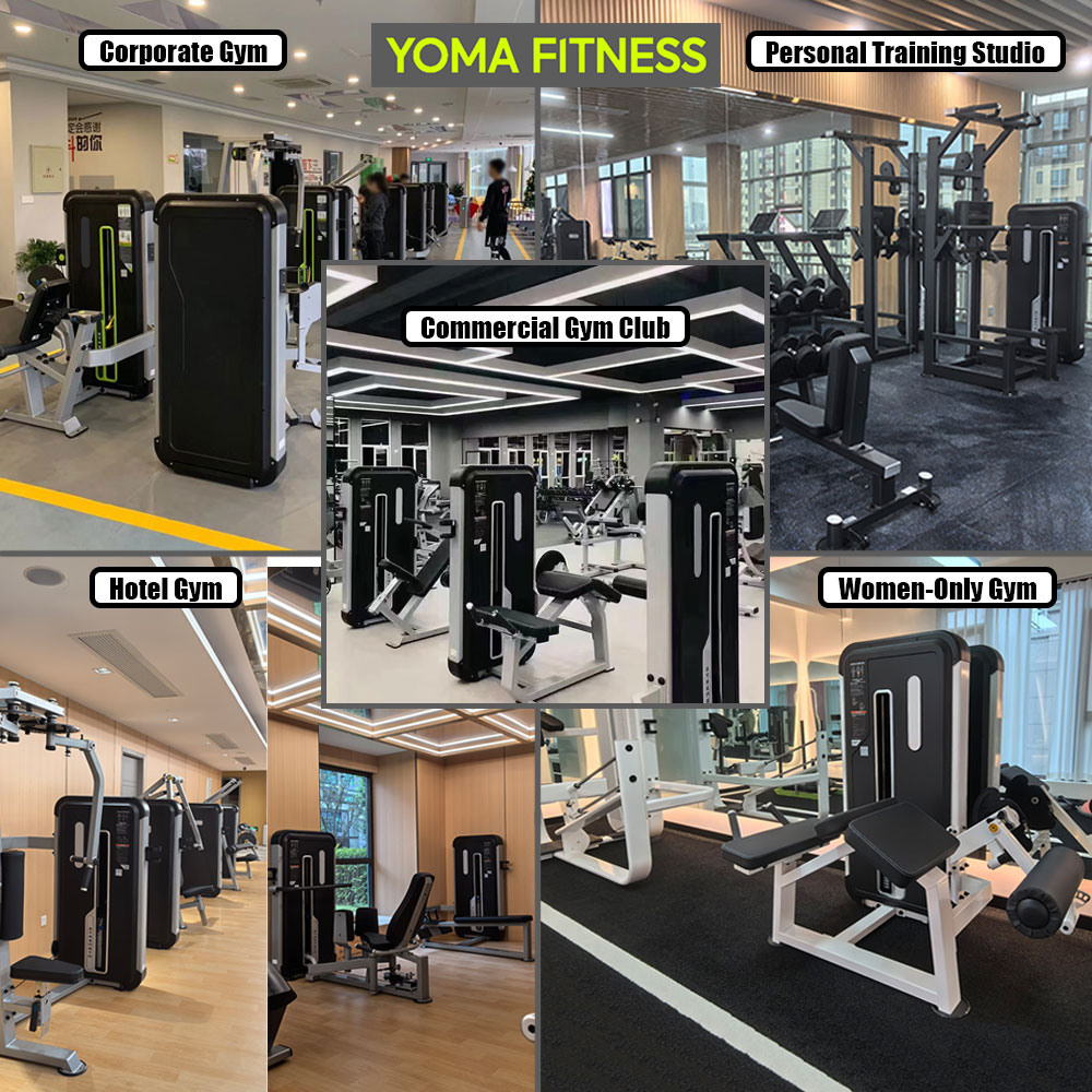 Guangzhou Strength Training Eq - Health Wellness Training 评论和价格